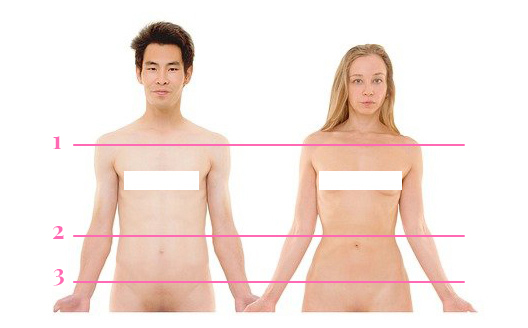 Anatomische Unterschiede von Mann und Frau