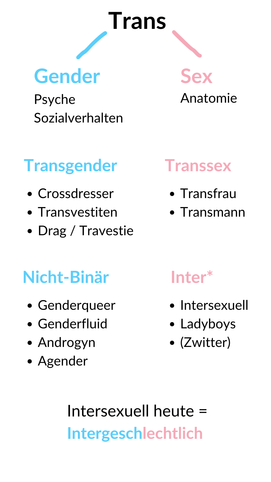 Bedeutung der Transgender Begriffe - Definition kurz & verständlich